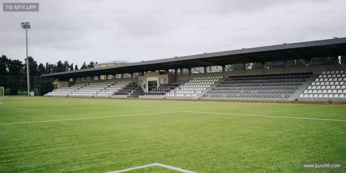 📺一键直击,全球赛事高清畅享!